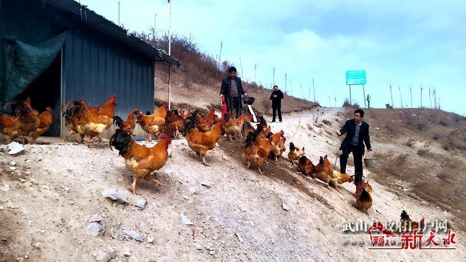 【脫貧攻堅(jiān)奔小康】康宏偉：扶貧路上不讓一戶(hù)群眾落下