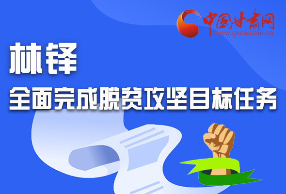 圖解|林鐸：堅決如期全面完成脫貧攻堅目標任務