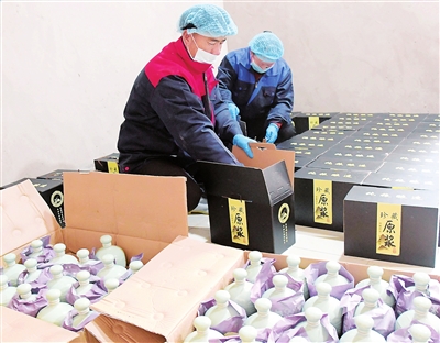 臨夏州康樂縣純糧醇酒業(yè)農民專業(yè)合作社吸納十五名貧困戶人員