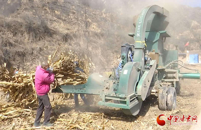 甘肅華池：綠色循環(huán)經(jīng)濟(jì)讓玉米秸稈成農(nóng)戶致富增收“寶貝疙瘩”（圖）