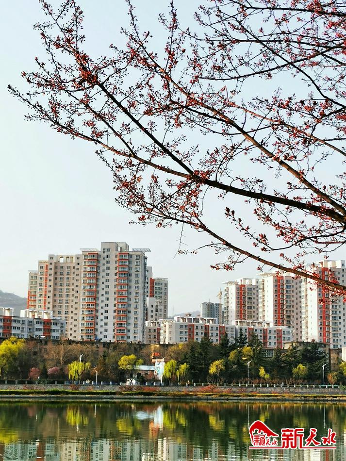 春天，古城天水的十個(gè)美麗瞬間