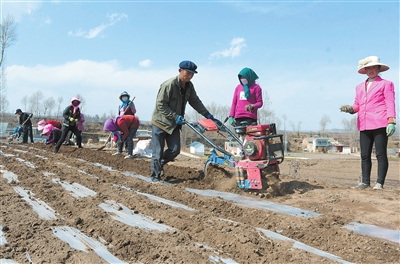 臨夏州積石山縣寨子溝鄉(xiāng)青豐中藥材農(nóng)民專業(yè)合作帶動(dòng)周邊群眾增收致富