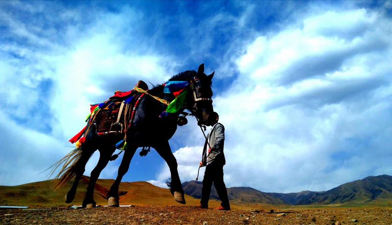 好消息！天祝被命名為“中國高原走馬之鄉(xiāng)”