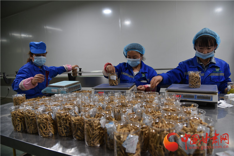 定西渭源：以工業(yè)集中區(qū)為核心引領工業(yè)經濟穩(wěn)步發(fā)展（組圖）