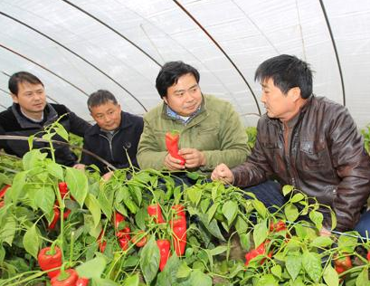 蘭州市農業(yè)科技人員“三下鄉(xiāng)”為農民開展技術培訓