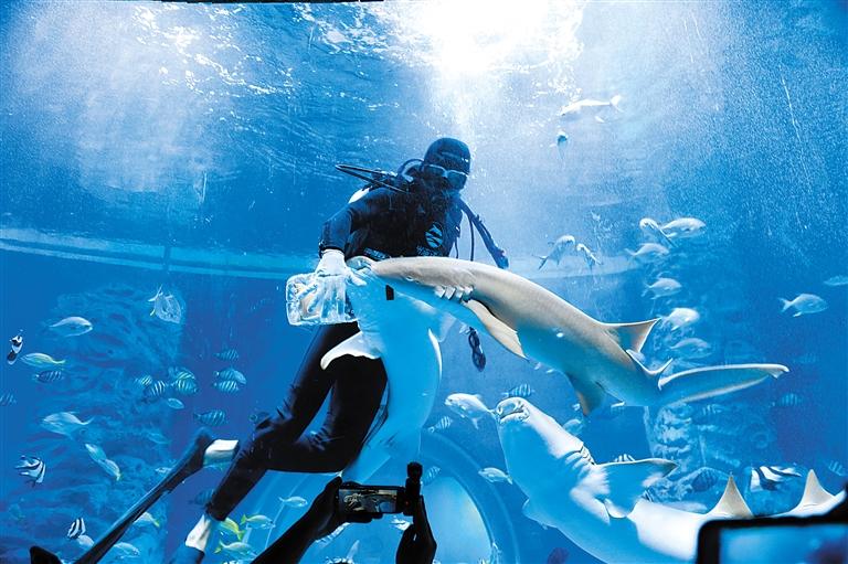 蘭州海洋公園 金昌火星1號基地 這個暑假我們“上天入?！?>
        </a><em>蘭州海洋公園 金昌火星1號基地 這個暑假我們“上天入海”</em></li>
    <li><a  target=