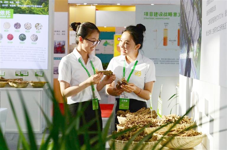 定西，從“千年藥鄉(xiāng)”邁向“中國藥都”