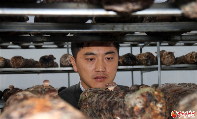 110年！何家溝村終于有了集體經(jīng)濟(jì)——中建二局黨建結(jié)對幫扶成效顯著