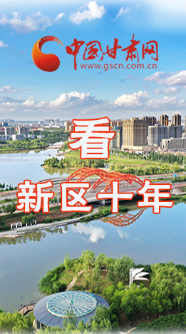 圖解|崛起！新區(qū)十年