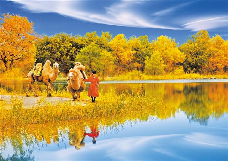 國(guó)慶長(zhǎng)假，去金塔遇見(jiàn)最美胡楊