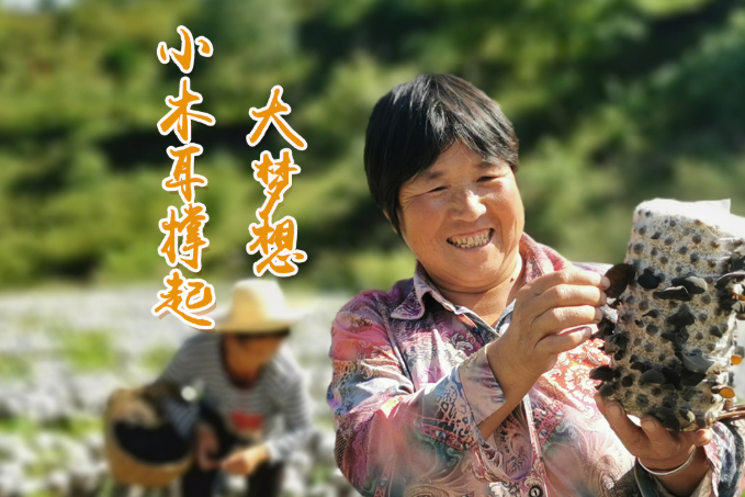 海報丨他們，乘“豐”破浪！