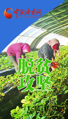 圖解|關(guān)于脫貧攻堅(jiān) 書(shū)記省長(zhǎng)這樣強(qiáng)調(diào)