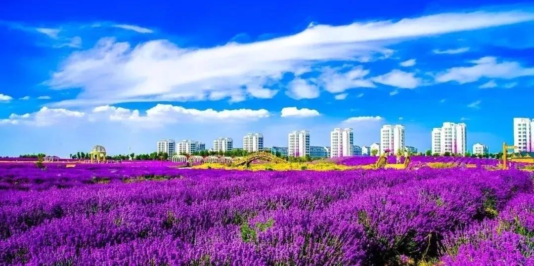 喜訊！金昌蟬聯(lián)全國(guó)文明城市