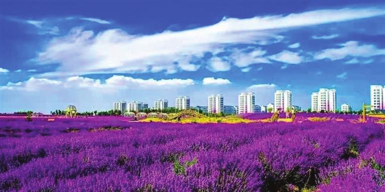 “三連冠”！金昌蟬聯(lián)全國(guó)文明城市