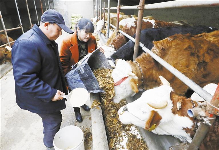 我和我的家鄉(xiāng)丨定西臨洮縣黨家墩村：“?！碑a(chǎn)業(yè)帶來“?！比兆?>
        </a><em>我和我的家鄉(xiāng)丨定西臨洮縣黨家墩村：“?！碑a(chǎn)業(yè)帶來“?！比兆?/em></li>
    <li><a  target=