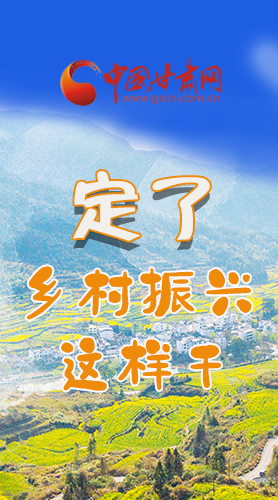 圖解|定了！全面推進(jìn)鄉(xiāng)村振興這樣干！