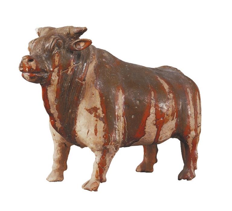 打開眼界丨牛年看牛，越看越牛!