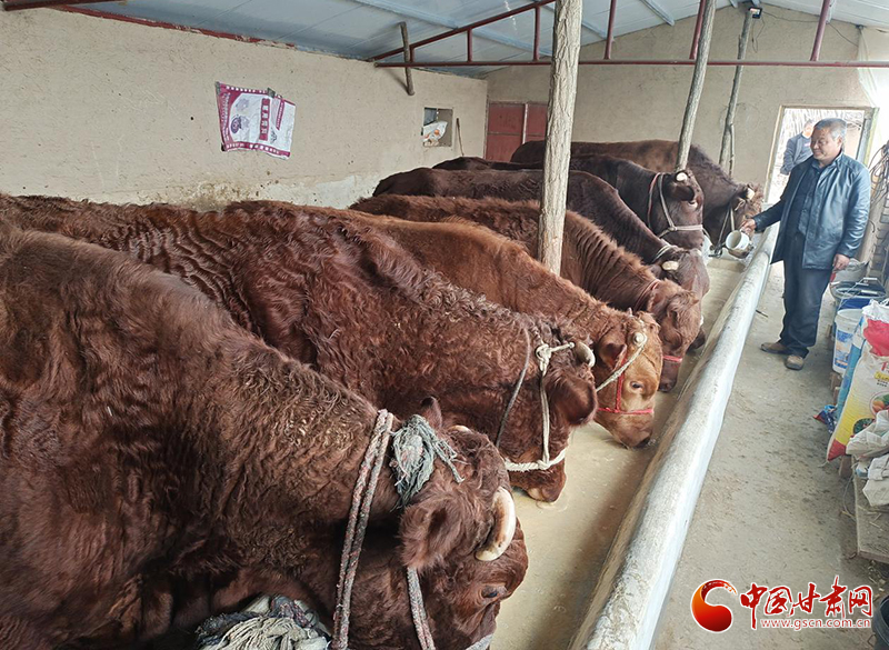 平?jīng)鰶艽ǎ骸芭！碑a(chǎn)業(yè)鋪就致富路