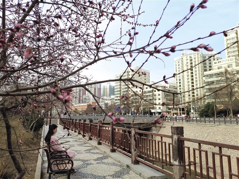 蘭州“第一朵花”開了！