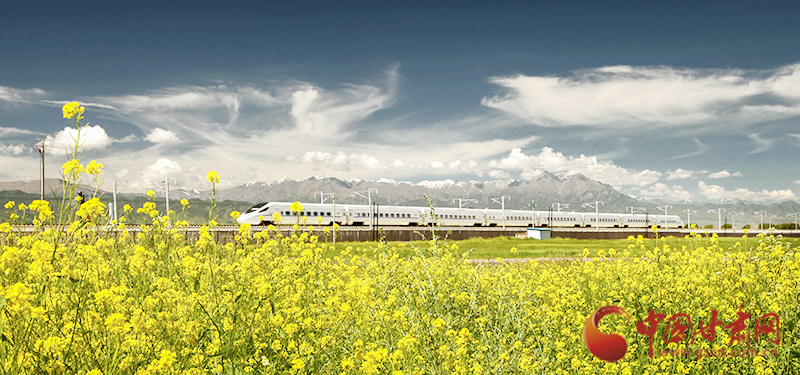 坐上火車“邂逅”春天，你可以這樣享“鐵路游”