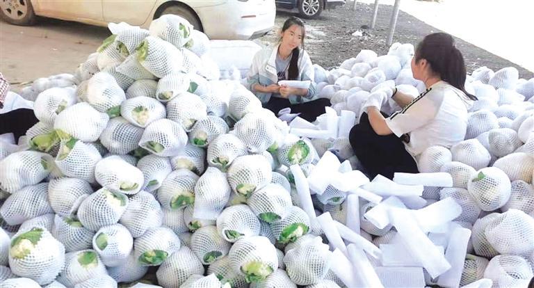 產(chǎn)業(yè)發(fā)展齊頭進(jìn) 交易市場(chǎng)穩(wěn)增收 蘭州榆中縣新營(yíng)鎮(zhèn)打好“綠色”“生態(tài)”兩張名片