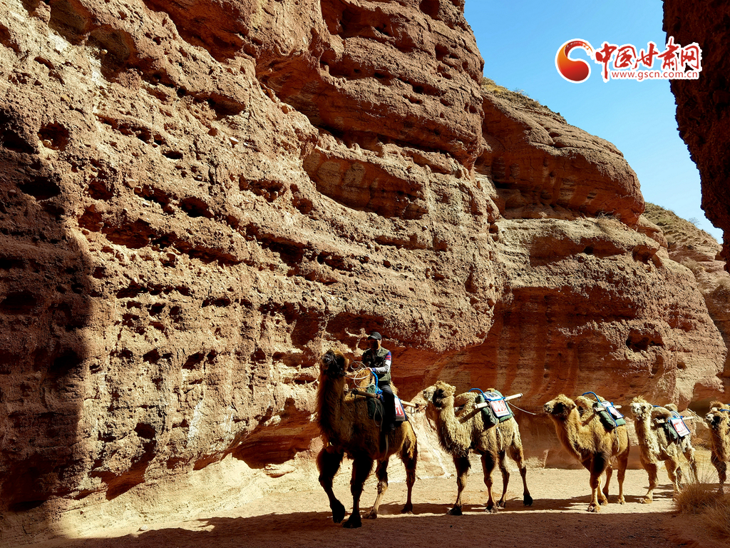 甘肅省消協(xié)發(fā)布疫情下的旅游消費維權(quán)“小貼士”