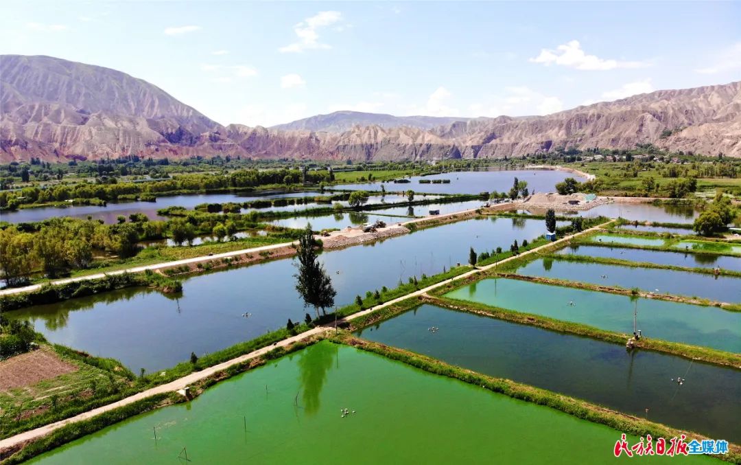一秒入畫！太極島濕地風(fēng)光秀麗