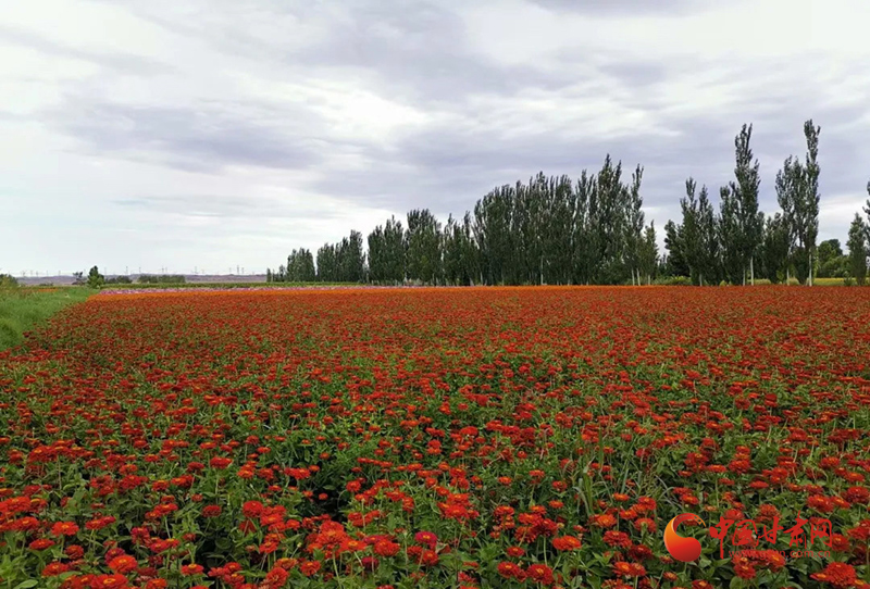 【小康圓夢(mèng)·看甘肅】瓜州：扮靚美麗鄉(xiāng)村“新畫(huà)面”