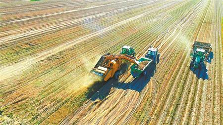 勇當現代農業(yè)發(fā)展的排頭兵——甘肅農墾黃羊河農場高質量發(fā)展走筆