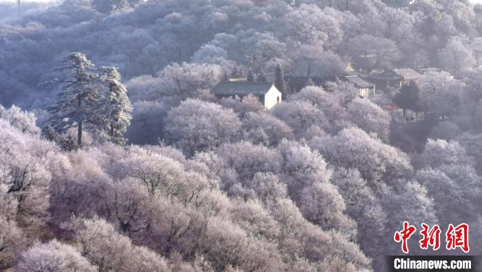 圖為霧凇美景?！⌒煺袢A 攝