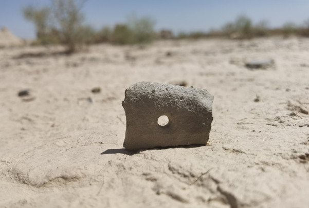 插圖1：河西走廊上遺存的古陶片。攝影：陳曉斌。拍攝日期：2020年6月。