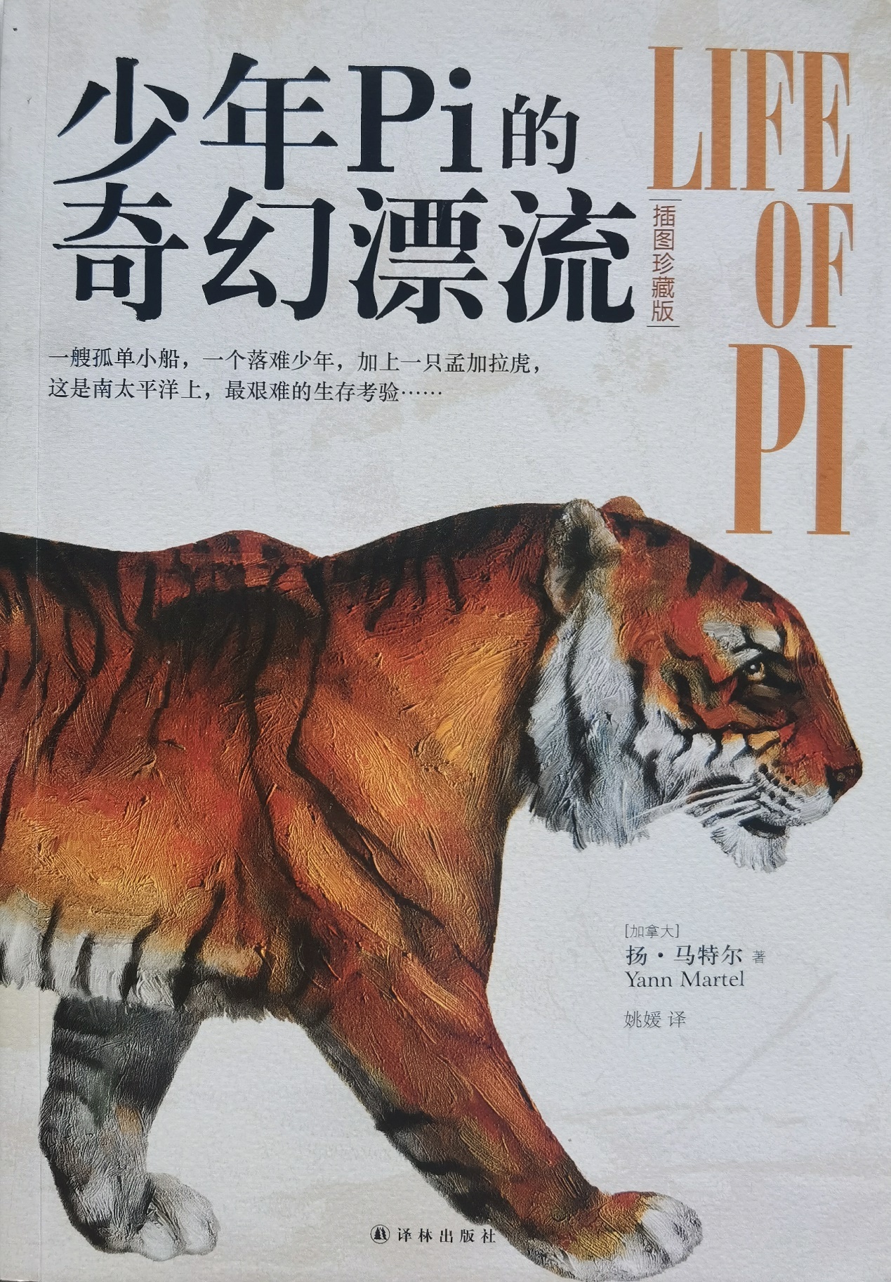 插圖1：揚(yáng)？馬特爾的小說(shuō)《少年pi的奇幻漂流》封面