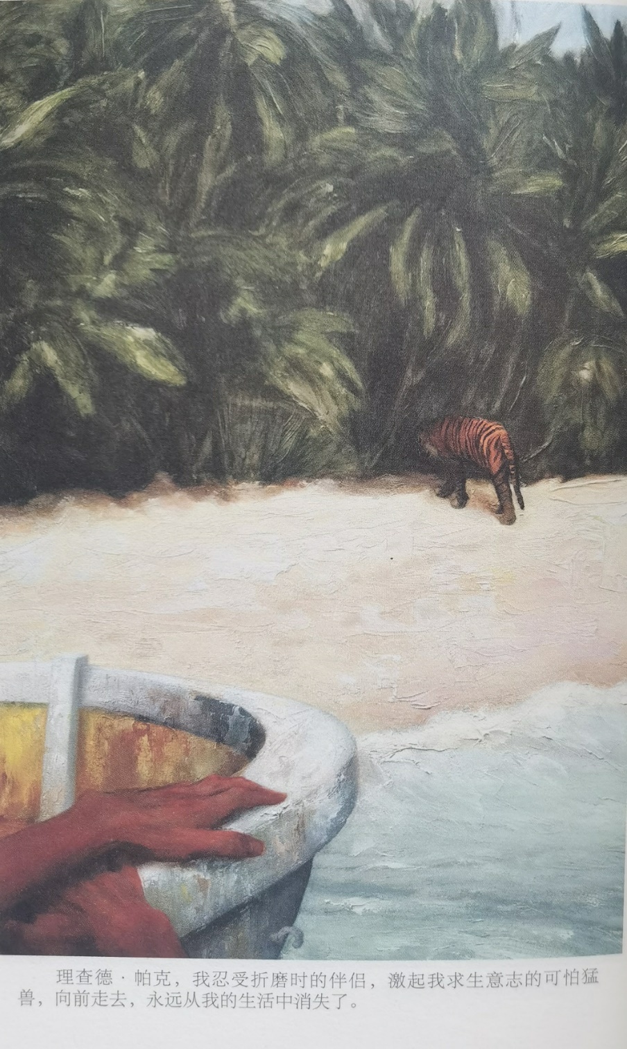 插圖3：揚(yáng)？馬特爾的小說(shuō)《少年pi的奇幻漂流》插圖