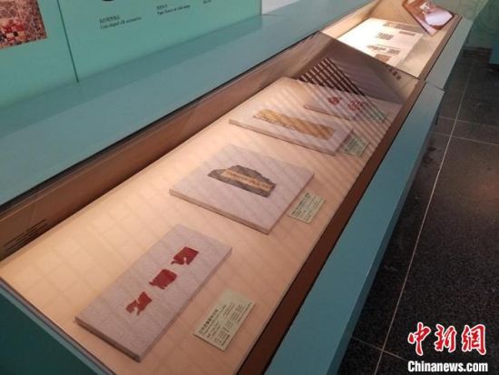 圖為展覽現(xiàn)場(chǎng)?！《鼗脱芯吭汗﹫D