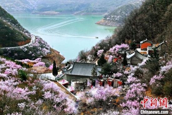 甘肅平?jīng)鍪惺侵袊鴥?yōu)秀旅游城市。圖為平?jīng)鲠轻忌较率锾一ㄊ㈤_。(資料圖) 平?jīng)鍪形麄鞑抗﹫D