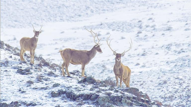 甘肅紀(jì)錄片——深入現(xiàn)實(shí)生活 抒寫(xiě)時(shí)代變化