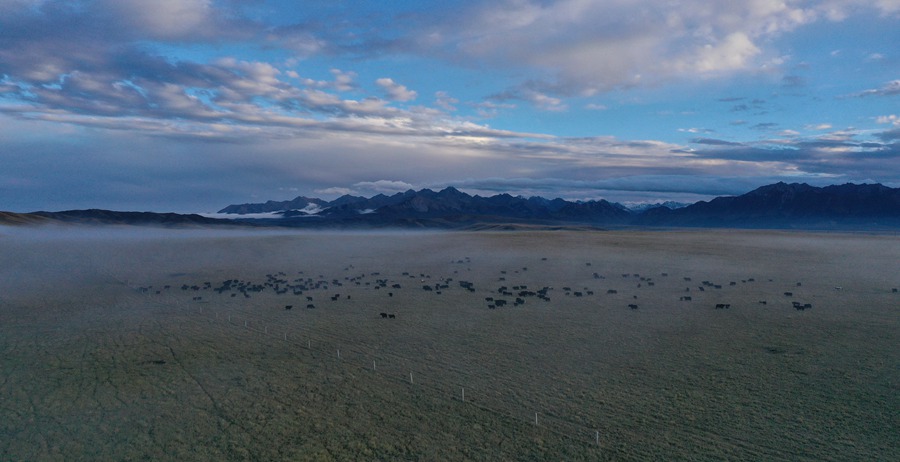 甘肅山丹馬場：峽谷云霧似仙境。 王超攝