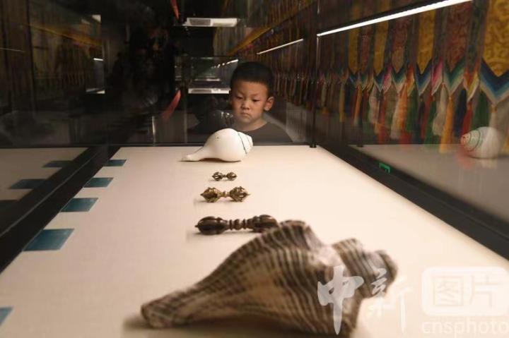 圖為展出的“白海螺法器”吸引小觀眾。 中新社記者 戴文昌 攝