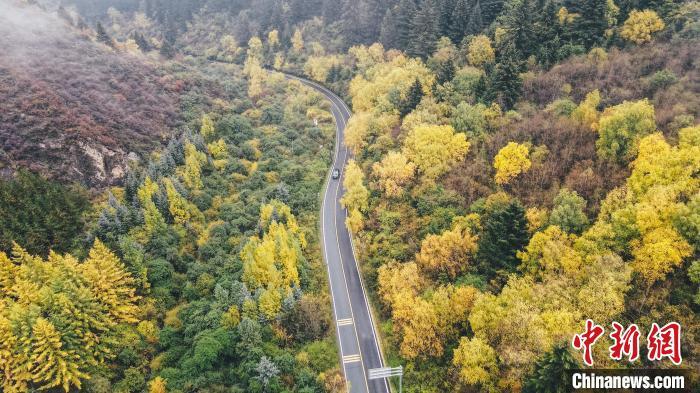 深秋，航拍位于蘭州市榆中縣的興隆山，景色如畫(huà)。金峯 攝</p>
<p>