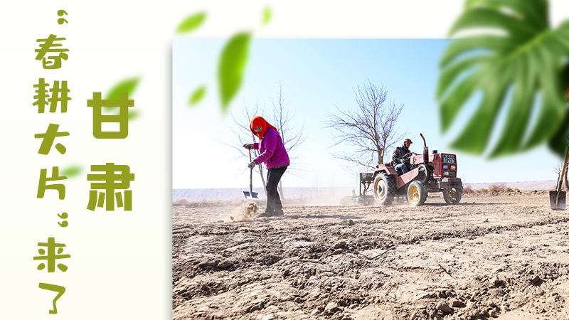 【甘快看】海報(bào)|瞧！甘肅“春耕大片”來了