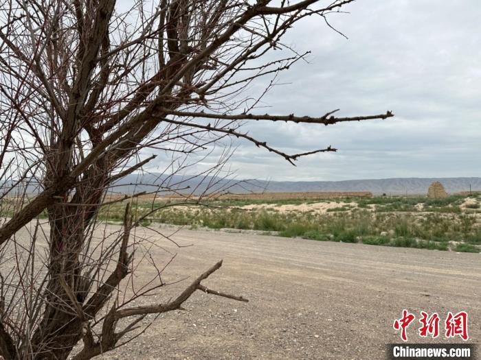 圖為位于長城墻體上的“馬面”或“敵臺”?！〈魑牟?攝