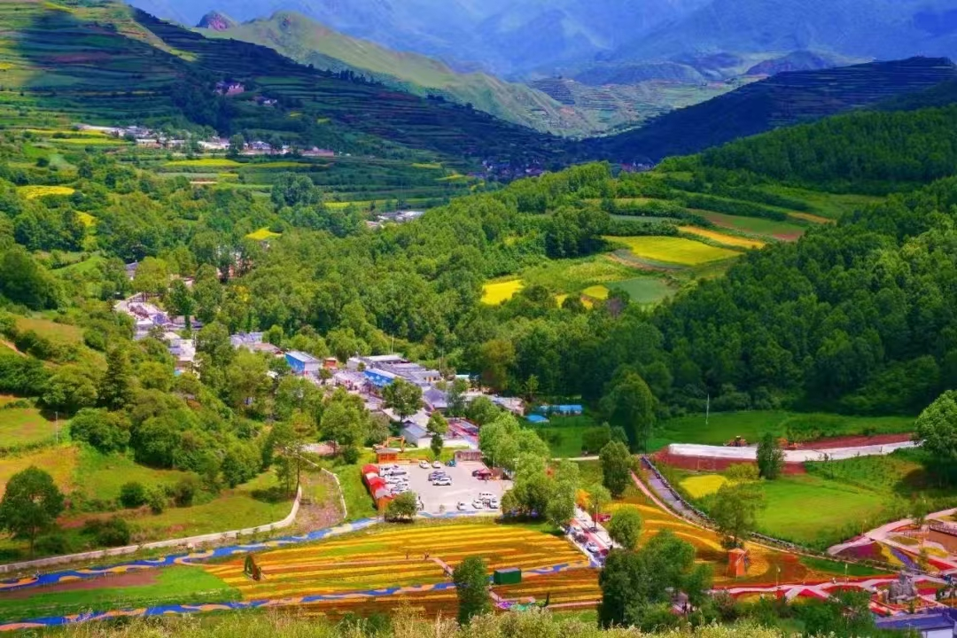 冶力關旅游區(qū)內的梯田花海