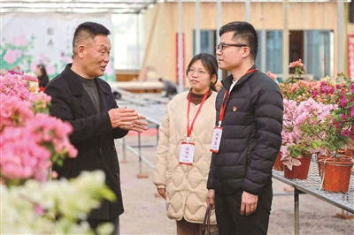 1741651684185193.jpg 5.jpg