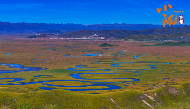 【小隴畫(huà)報(bào)·454期】冬日瑪曲宛若一部水墨長(zhǎng)卷