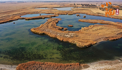 嘉峪關(guān)：金鑲碧嵌的濕地畫卷