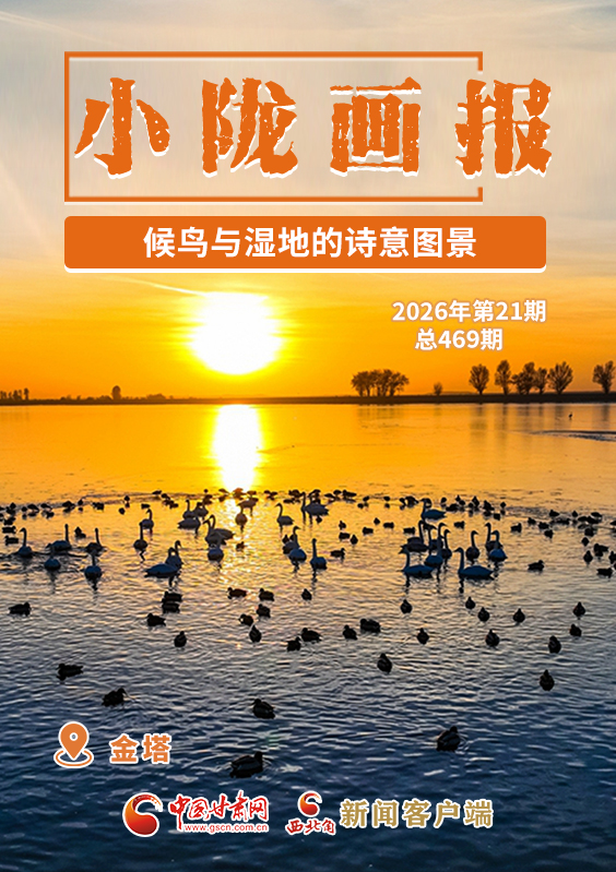 【小隴畫報(bào)·469期】金塔:候鳥與濕地的詩意圖景