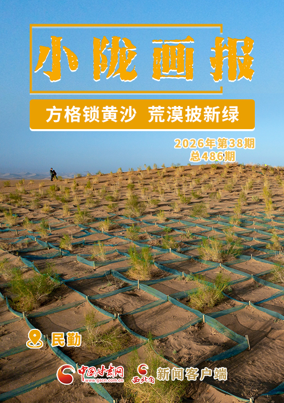 【小隴畫報·486期】民勤：方格鎖黃沙 荒漠披新綠